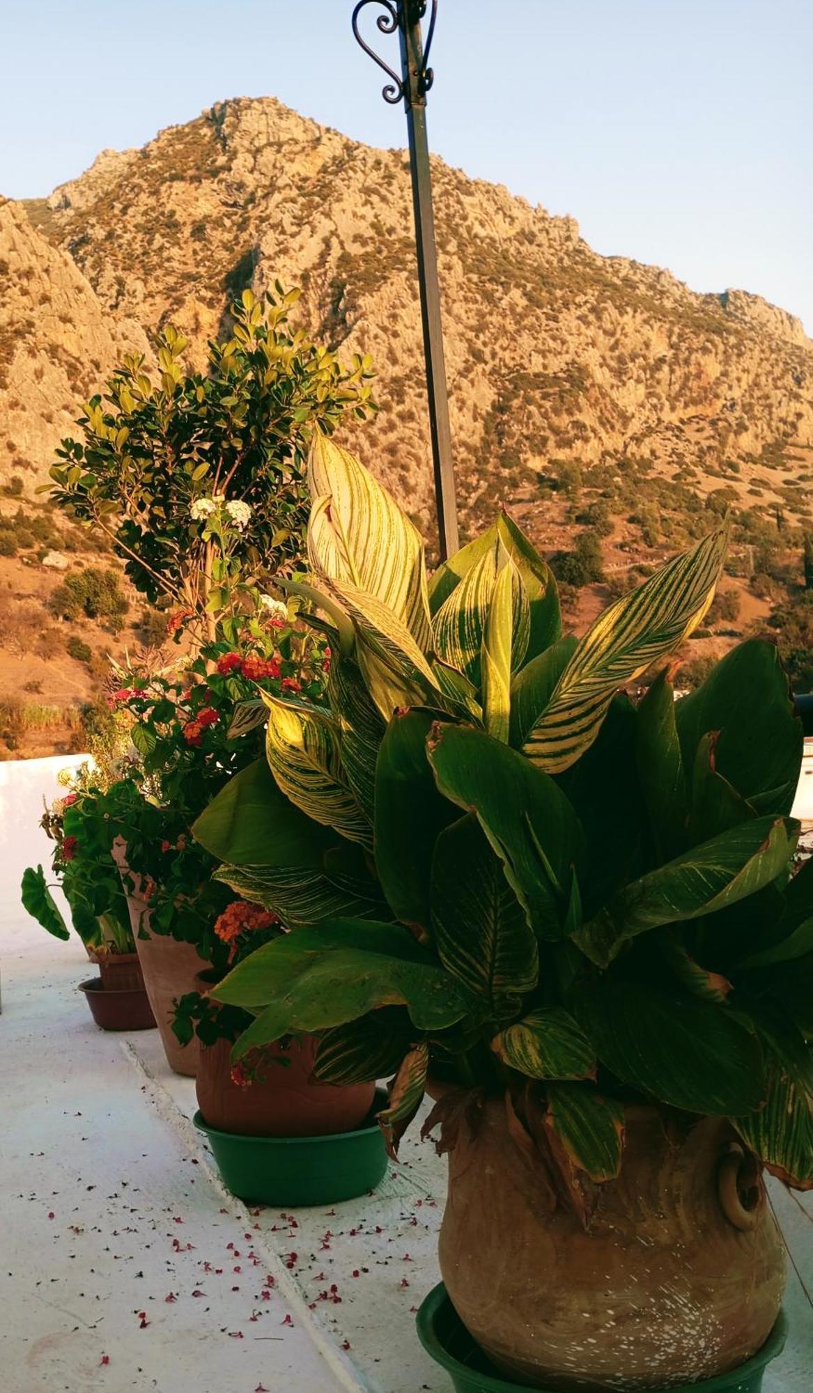 Dar Sbaa Bed & Breakfast Chefchaouen Luaran gambar